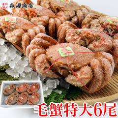 �k�C���Y �g���蔲�Q ���� �уK�j 6�� 4kg �ۂ��� �P�K�j �ъI ���� �J�j �I �������� �{�C�� �v���[���g �v���[���g �H�i �O���� �C�N  