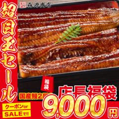 国産うなぎ絶対入ってます！ おまかせ福袋 ロス 冷凍便 食品 グルメ 海鮮 プレゼント 母の日 ギフト プレゼント
