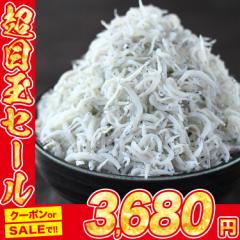 釜揚げしらす 1kg 鮮度抜群 スポット品 ふっくら かまあげ しらす シラス のし対応可能 ギフト プレゼント 食品 グルメ 海鮮 母の日 ギフ