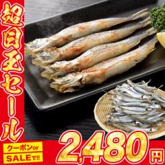 訳あり 子持ち ししゃも からふと シシャモ 1kg 約80-120尾 卵 カラフト