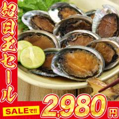あわび 煮付け 350g 10粒入 鮑 アワビ煮 母の日 ギフト プレゼント