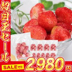�Ⓚ ������ 1kg ���Y 100g�~10�� �C�`�S � �J�b�g�t���[�c �Ⓚ�t���[�c �Ⓚ�ʎ� �t���[�c �ʕ� �������� �X�����X