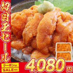 無添加うに200g 100g×2パック 究極Aグレード 生ウニ みょうばん不使用 ブランチング処理済 完全無添加 お刺身用 冷凍便 食品 グルメ 海