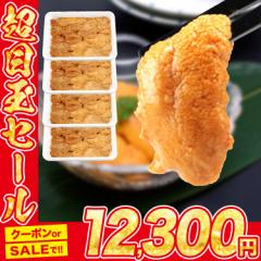 うに 100g×10パック 訳あり 冷凍 不揃い 崩れ お刺身 ウニ うに 雲丹 冷凍 グルメ 食品 海鮮
