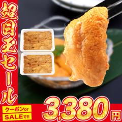 うに 100g×2パック 訳あり 冷凍 不揃い 崩れ お刺身 ウニ うに 雲丹 冷凍 グルメ 食品 海鮮