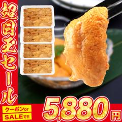 うに 100g×4パック 訳あり 冷凍 不揃い 崩れ お刺身 ウニ うに 雲丹 冷凍 グルメ 食品 海鮮