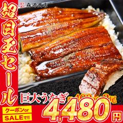 ������ ���Ȃ����� �v��800g (��400gx2��) ���� ���Ȃ��Q�{���� �f�J���� �̂��Ή� �Ⓚ�� �E�i�M �V ���� ���ΏĂ� �H�i �O���� �C�N ��