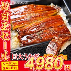 超巨大 うなぎ蒲焼 計約800g (約400gx2尾) 特大 頭なし2本入り デカうま のし対応 冷凍便 ウナギ 鰻 蒲焼 かば