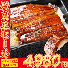 ＼ポイント10％増量中!! ~5/3 23:59まで／ 超巨大 うなぎ蒲焼 計約800g (約400gx2尾) 特大 頭なし２本入り デカうま のし対応 冷凍便 ウ