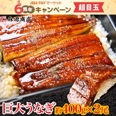 ������ ���Ȃ����� �v��800g (��400gx2��) ���� ���Ȃ��Q�{���� �f�J���� �̂��Ή� �Ⓚ�� �E�i�M �V ���� ���ΏĂ� �H�i �O���� �C�N ��