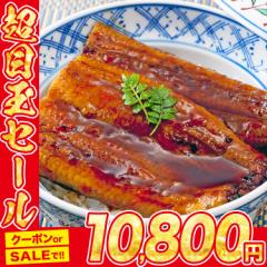福袋 国産うなぎ 5尾 約150g×5本 鰻 山椒・タレ付き 鹿児島県産 鰻 ウナギ かば焼き 冷凍便 水産 お試し 食品 グルメ 海鮮 プレゼント 