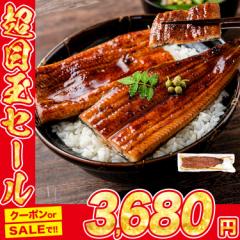 うなぎ 鰻 国産 無投薬 1尾 約180g 鹿児島県産 ウナギ 蒲焼き 山田水産 ギフト 食品 クーポン 母の日 ギフト プレゼント
