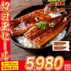 うなぎ 鰻 国産 無投薬 約180g × 2尾 鹿児島県産 ウナギ 蒲焼き 山田水産 ギフト 食品 クーポン 母の日 ギフト プレゼント