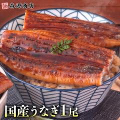 うなぎ 鹿児島県産 1尾 125g 国産 蒲焼き 長焼き 無投薬 焼き上げ 無頭 1本 父の日