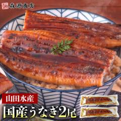 うなぎ 鹿児島県産 2尾 125g×2 国産 蒲焼き 長焼き 無投薬 焼き上げ 無頭 2本