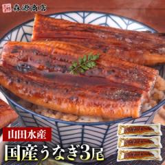 うなぎ 鹿児島県産 3尾 125g×3 国産 蒲焼き 長焼き 無投薬 焼き上げ 無頭 3本