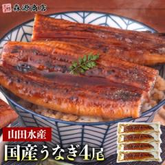 うなぎ 鹿児島県産 4尾 125g×4 国産 蒲焼き 長焼き 無投薬 焼き上げ 無頭 4本