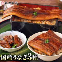 うなぎ 鹿児島県産 3種セット 長焼き 刻み カット 食べ比べ 合計320g 鰻 ウナギ 国産 無投薬