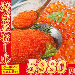 ������ݖ��Ђ�500g(�g���E�g250g���g��������250g�j�H�ה�� ���� �T�[�����g���E�g �g�� �H�ה�� �C�N���� �R�� �芪�����i ���炵��