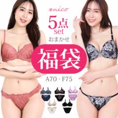 福袋 ブラセット ブラジャー ショーツ セット 5点 下着福袋 2025 (x-031)[メール便不可]【送料無料】 レディース 下着  送料無料 ※沖縄
