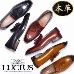 LUCIUS ^bZ[t@[ 25`27cm 3E Y vC {v [t@[  i JbR l Y Vv VY  rW