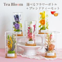 Tea Bloom Iׂt[{g MtgZbg ̓ bh u[ CG[ ~U sN Mtg t[Mtg vU[u
