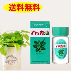 �y�n�b�J��  �{�g���@�Q�O�����z ������ ������ ������ �͂��� �k�C�� �V�R �I�C�� �y�p�[�~���g �@�}�X�N �R���i �ԕ��� �k�� �n�b