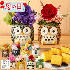 ��̓� �ԂƃZ�b�g �M�t�g [ �� �v���[���g ���َq �a�َq �˂� �� ���� ] �����v���U�ƃJ�X�e�� MDPE [ �v���U�[�u�h�t�����[ ] �@�@�@