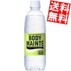 �������� ��ː��� �{�f�B�����e�h�����N 500ml�y�b�g�{�g�� 24�{�� ���_��B240 �d���� �X�|�[�c�h�����N