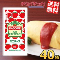 送料無料 デルモンテ トマトケチャップ500gチューブ×1ケース（全20本