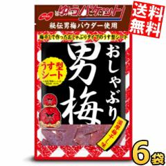 ゆうパケット送料無料  ノーベル おしゃぶり男梅 薄型シート 10g×6袋入 うめ