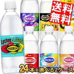 �A�T�q �E�B���L���\�� 500mlPET�I�ׂ�48�{(24�{�~2�P�[�X)�Y�_��