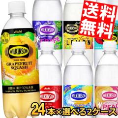 �A�T�q �E�B���L���\�� 500mlPET�I�ׂ�48�{(24�{�~2�P�[�X)�Y�_��