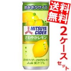 �������� �A�T�q �O�c��T�C�_�[ ����₩������ 250ml�� 40�{ (20�{�~2�P�[�X)