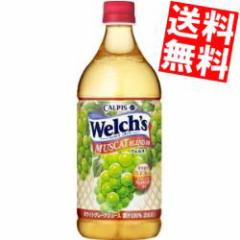  ATq JsX Welchfs EF` }XJbguh100 800gPET 8{ ʏ`100