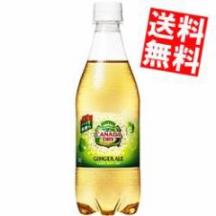  RJR[ Ji_hC WW[G[ 500mlybg{g 24{