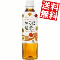  RJR[ 炾(߂肿) 410PET 24{