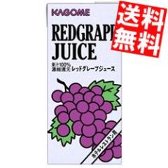  JS bhO[vW[X izeXgpj PkpbN 12i6~2j{