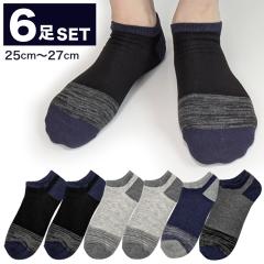 �����Y �C�� �ȍ� �n�[�t�� 6���Z�b�g �V���v�� ������� ���K 25cm�`27cm �ʔN�Ή�