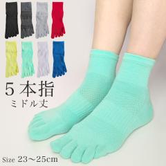 �C�� ���f�B�[�X 5�{�w �~�h���� �V���v�� �T�|�[�g�t�� �\�b�N�X �X�|�[�c �����j���O �^�� �ʋC�� ���b�V��