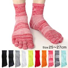 5�{�w�\�b�N�X �����Y �ܖ{�w �C�� �T�|�[�g�t ����Ȃ� �����΍� �w�掩�R �X�|�[�c �^���p �S���t �����j���O �E�H�[�L���O 5�{�w �\�b