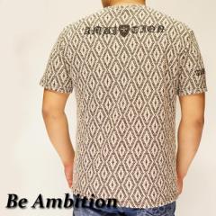 Be Ambition r[ArV  TVc Y  byShJ T20105 