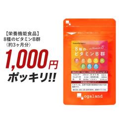 お徳用8種のビタミンB群(約3ヶ月分) ナイアシン ビタミンB3 ビタミン 葉酸 ビオチン ナイアシン パントテン酸 マルチロー