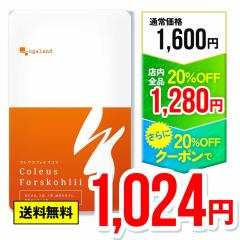 �yW������!!�z�R���E�X �t�H���X�R�� (��1������) ���n���H���@�� �A���� �C�k���� �_�C�G�b�g �T�v�������g �f�L�X�g���� �H���@�� �R��