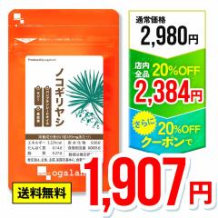 �yW������!!�z�m�R�M�����V(��3������) �������� ���Ȃ������� �{�����[�� �\�[�p�����b�g �Z���m�A ���� _JH _MEN _3K  25006