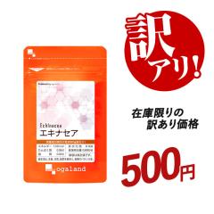 �y�󂠂艿�i!!�z�G�L�i�Z�A�i��1�������j �T�v�������g �T�v�� �I�[�K�����h  �|�C���g���� _JH _1K�y�ܖ�����:27�N3�����z