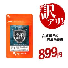 �y�󂠂艿�i!!�z���Ə����_�ہi��1�������j���_�� ���[�O���g �t���N�g�I���S�� �r�^�~��D �r�^�~��B6 �r�^�~��A ���n���H���@�� �_�C�G