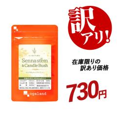 �y�󂠂艿�i!!�z�Z���i�s&�L�����h���u�b�V���i��1�������j �������� �ǂ����� �Ҍ����蓜 ���N �_���}�O�l�V�E�� �T�v�� �������� ���e