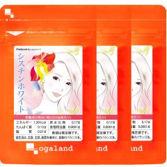 アネッサ パーフェクトUV ブラッシュオンパウダー 本体