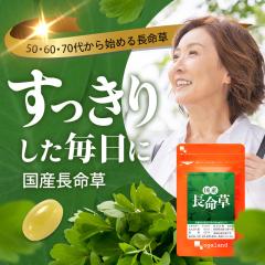 ���Y�������i��1�������j �T�v�������g�@�r�^�~��E�@�C�\�T�~�W���@�u�h�E���@�J�{�`����q�@���Y�@���N�@��؁@���������Y�@�X�b�L���@